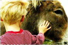 Stroking the donkeys