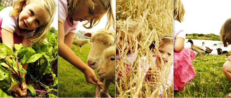 Our Little Farm here at Pollaughan